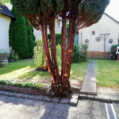 Apartment Obrigheim
