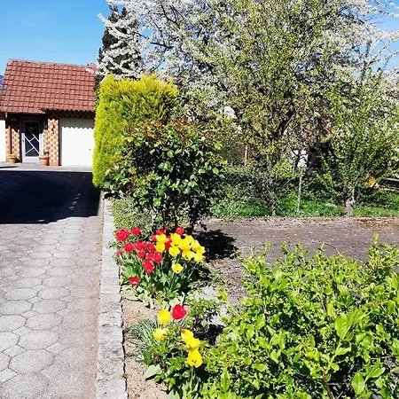 Apartment Obrigheim Mosbach (Neckar-Odenwald)