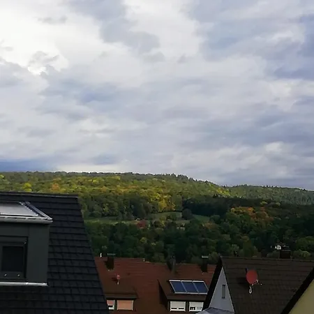 Appartement Obrigheim Mosbach (Neckar-Odenwald)